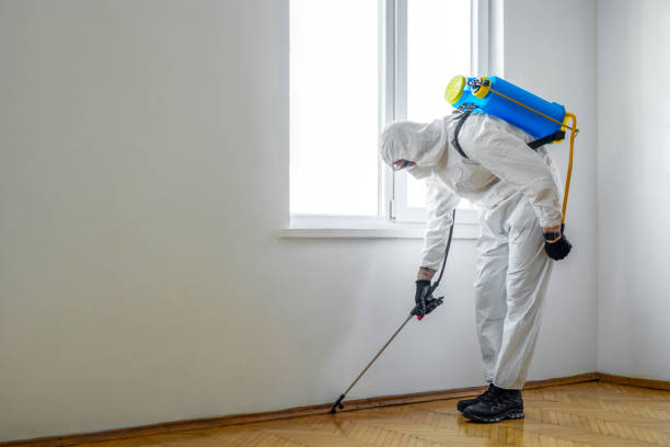 Best Affordable Pest Control Services  in Brentwood, TN