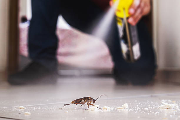 Best Flea Control Services  in Brentwood, TN